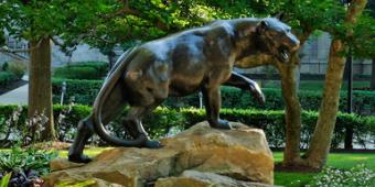 Panther statue on campus