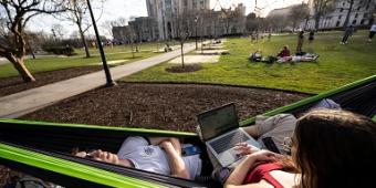 Students studying in a hammock